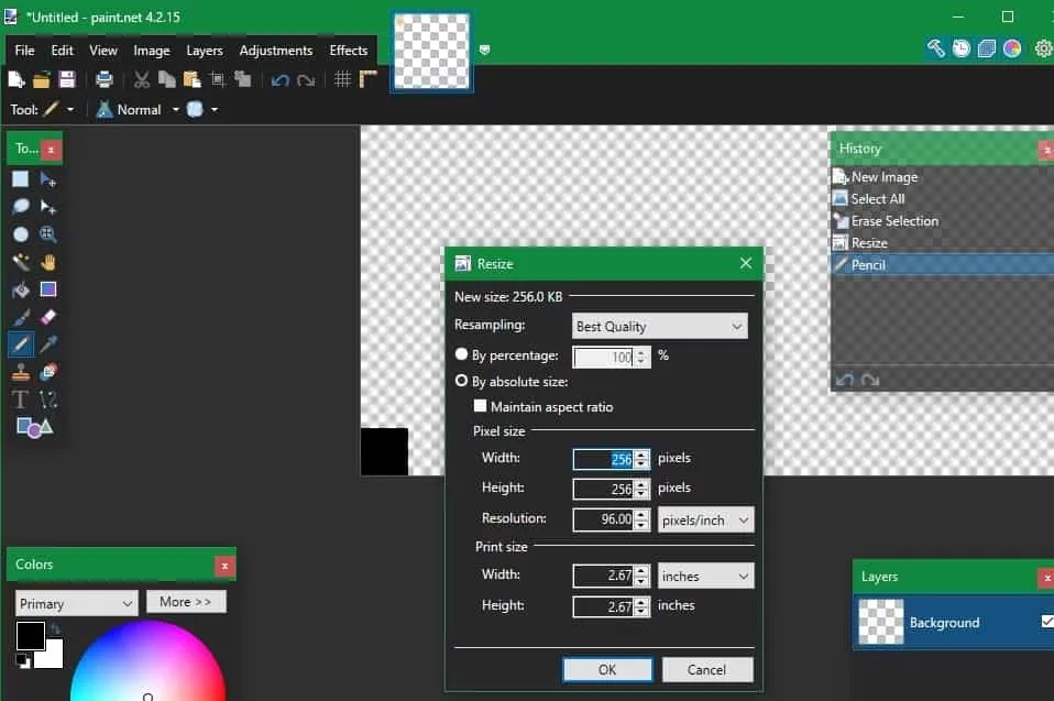 Paint Net