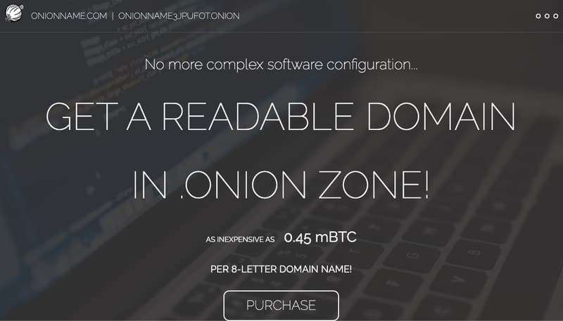 De bedste dark web-websteder, du ikke finder på Google 12 Et skærmbillede af OnionName-hjemmesiden.
