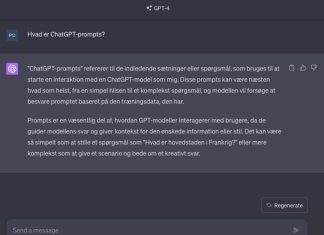 Chat-GPT Screenshot
