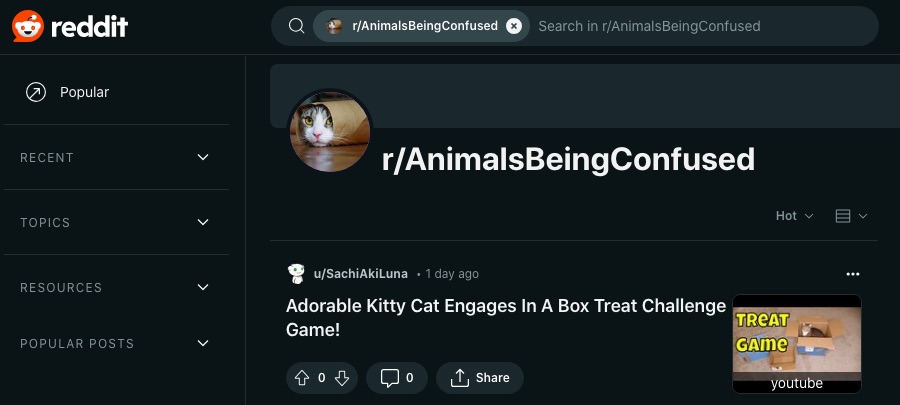 16 sjove subreddits, der garanteret får dig til at grine højt 15 Et skærmbillede af r/AnimalsBeingConfused webpage