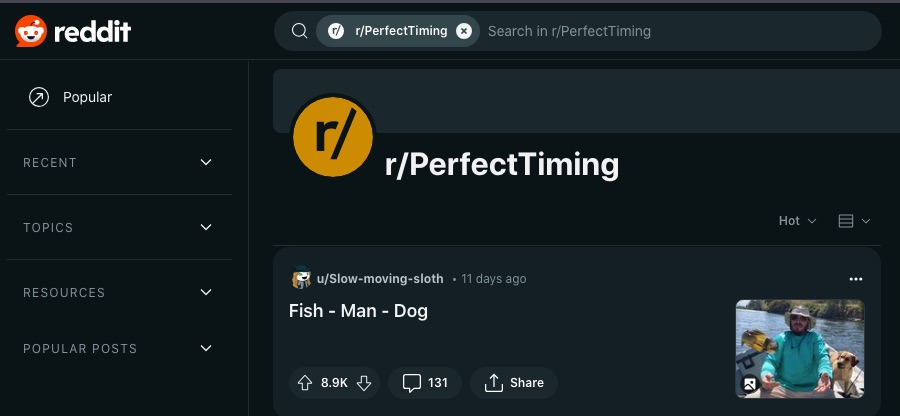 16 sjove subreddits, der garanteret får dig til at grine højt 8 Et skærmbillede af r/PerfectTiming webpage
