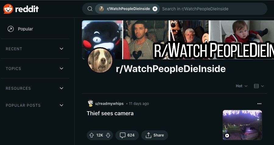 16 sjove subreddits, der garanteret får dig til at grine højt 4 Et skærmbillede af r/WatchPeopleDieInside webpage