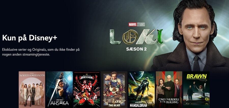 Skærmbillede af Disney+ websiden.