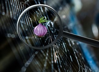 Et detaljeret edderkoppespind med lysreflektioner og et forstørrelsesglas, der fokuserer på et lilla løg. Billedet blander naturens elementer med et digitalt symbol og kan repræsentere Tor-netværket.